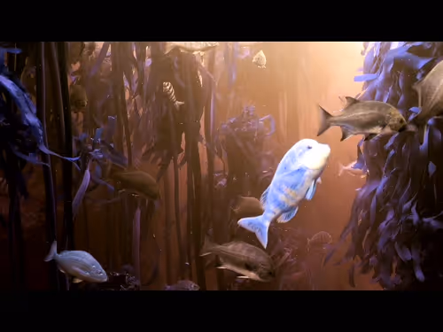 Item #96480669494729619262661189301568248367107544243964914039235424940779603230721 Media