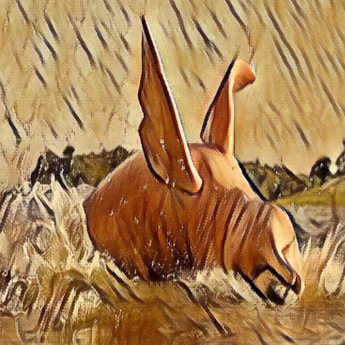 Item #50533192108599939293967127889299662602908893297659253807051018198486305734657 Media