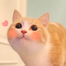 mimi6