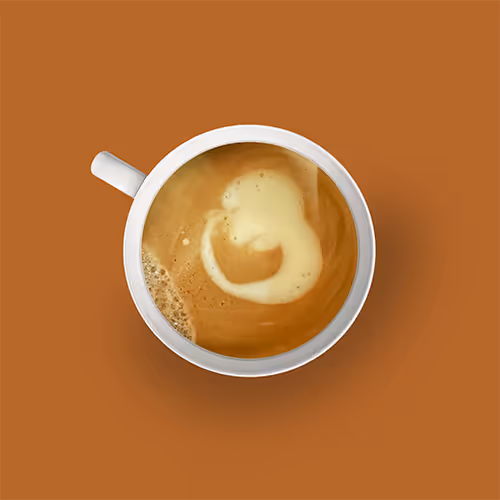 50263623349750108489371260276447071696175575396878950614146064387943954382849