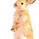 102261198530348509749725550783946971506099602851082018910916207946447900901377