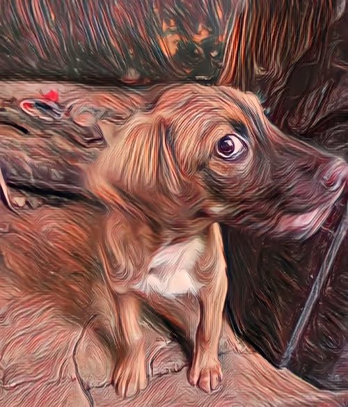 Item #109885862523976899144651734441556854765315219074328426947809034503094999711745 Media