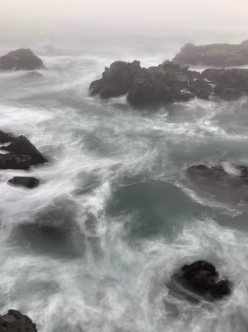 Item #41540088115712747085042347828727921897877758860552176514137011684529366106117 Media