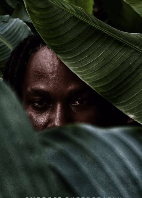 Item #73711068832981907332678165099169316709387855921890177602184069654822011273217 Media