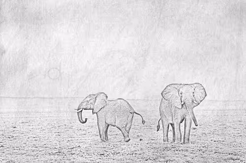 Item #104571871624713793639651805658793486494192065920849225127728493735398510428161 Media