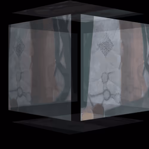 Item #24458899999541415136304934662706617366423530681269317748643272562420001800202 Media