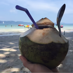 Coconut | Eat the NFT Asset Coconut that I serve with my hands 