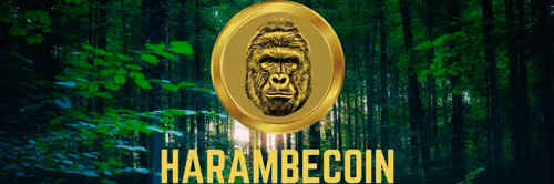 Item #58539809437557557179990783673993922087340733807520705239533842590155610783745 Media