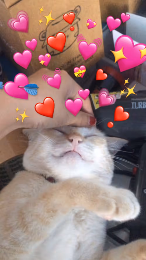 Item #45172585335081813343644153314495358007196078945782785289910377740282149994506 Media