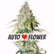 I Love Growing Marijauna