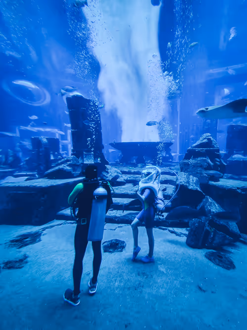 Item #112667008341302243302689137385956133130618064470449479276921417628266581196801 Media