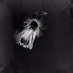 72932321608233697749117711298000337470595698923978217717692158336316408332289