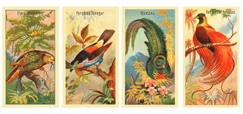 Item #29469762708973987410534374363082415391887994407260107380267554467823753364456 Media