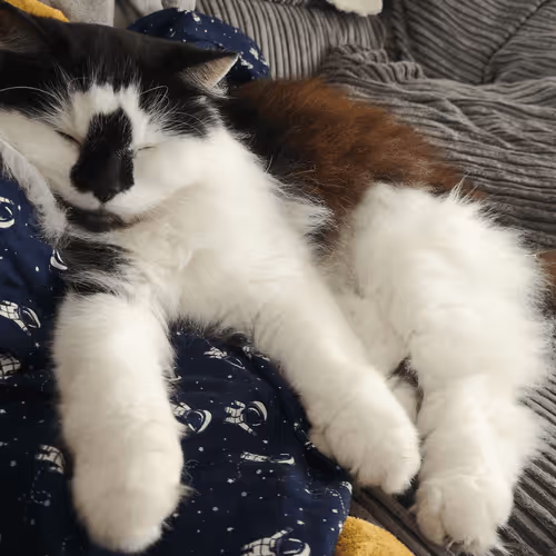 Item #13161020314009032005485822086301964352885579695205061807387255101413350440961 Media