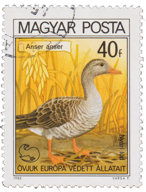 Item #36928828717643675900437569795538987988773281266085500979873832382665697787905 Media