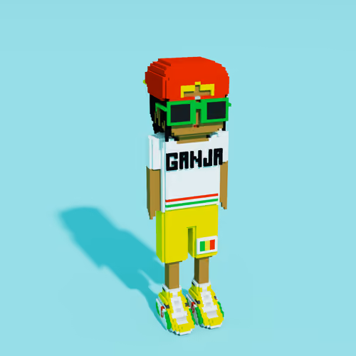 Funky Voxel DAZAWA #042