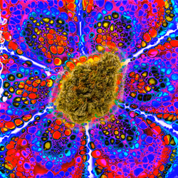 13955282856406335165414100891374623718709547313428947888299034030823601864705