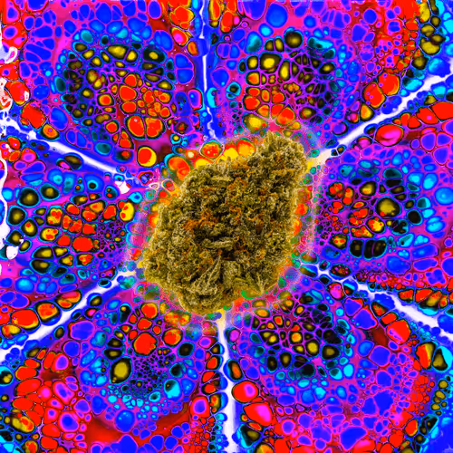 Item #13955282856406335165414100891374623718709547313428947888299034030823601864705 Media