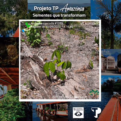 Item #8500196597889277390194123329501889087166328879864934763448348957856732545025 Media