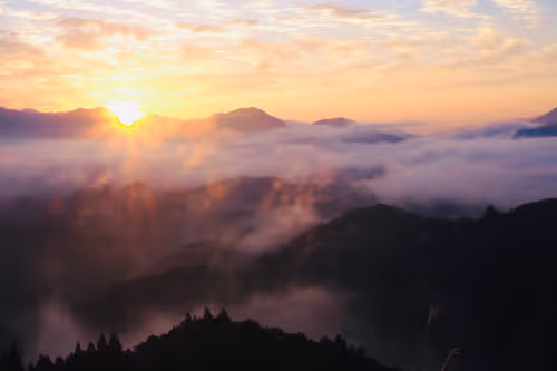 Item #109856220298400902651076580767902450481001671145135042895744925547504458530817 Media