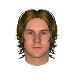 Video of expressions/ gestures combined simulation