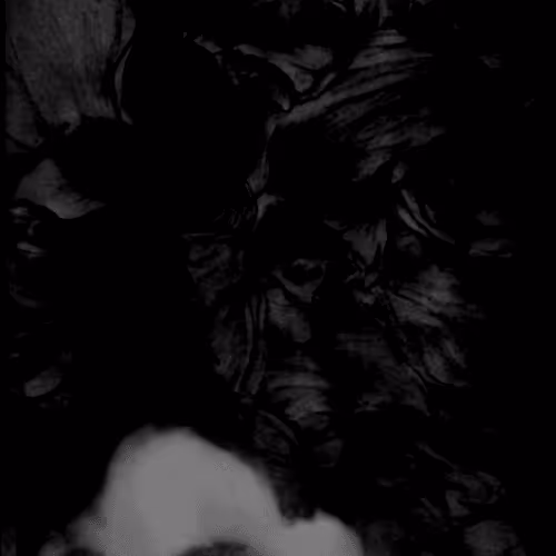 Item #67553364102704910052786438722982539447022718177836165747965600783567675195393 Media