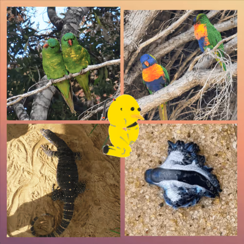 Item #13847091165139886550548507913753860487299745276601432995432972243096318256912 Media