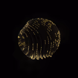 83535453821146316306178013320250520096293247508023240542449519316853636202497