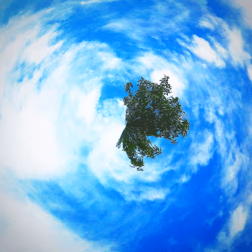 Item #51760140875768903014028495187142165859199218043156157098991590347747062972417 Media