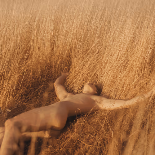 Item #78290495778488024413402900412975028234166831643233263215137554359370895065089 Media