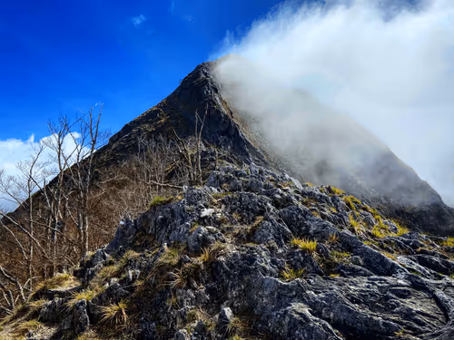 Item #36336170879608208403963751604494433054462935544758920663222913845078150610945 Media