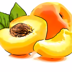 Apricot