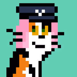 5109724248736834086321131752990434839127578956895670730941553112345512771585