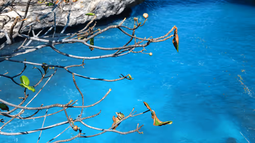 Item #996290929731784083911388906821093556753999753550153778286711590699195695105 Media