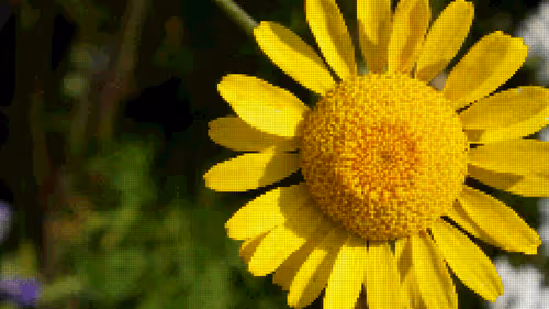 Item #75866091947728652238534111254584504918190435733442380629681527362545558487041 Media