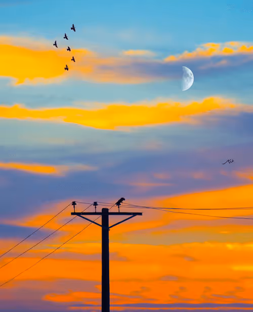 Item #9104047852343460824823657095955061139286762947505329334286274218106426490881 Media