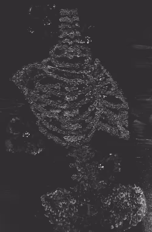 Item #22540126489752435044862496792027985557998753052937986612617412090288400236545 Media