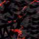 50107317258778552294207371653853797297658021348402662495901556108889778290689