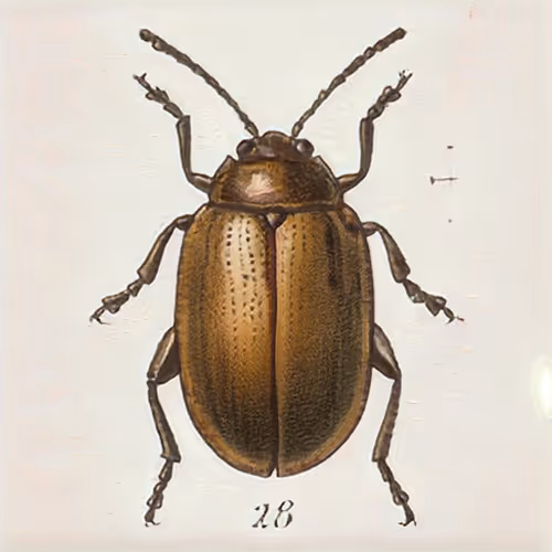 Item #58241160855422744817468407088196322100109565521561100950236904349619483312129 Media