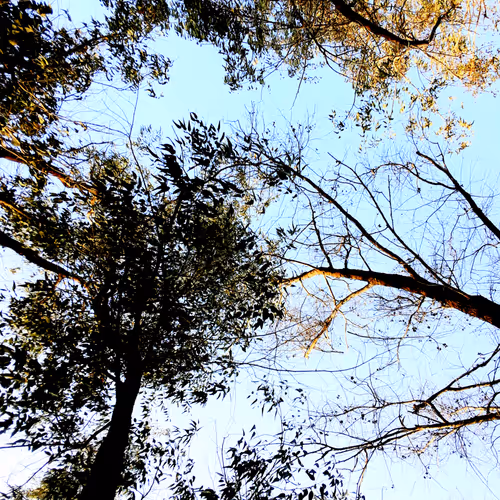 Untitled Collection #242613931