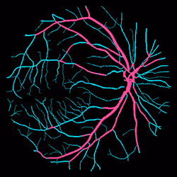 7078802064077755305879053961196844759257248211509687953083586107901181165569