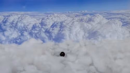 Item #32382354995311206636930955851818118108425029471473268411146207468924220473444 Media