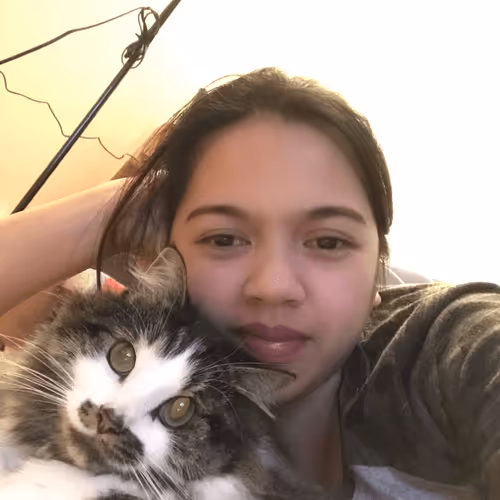 Untitled Collection #174342317