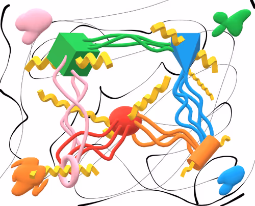 Squiggly linguine