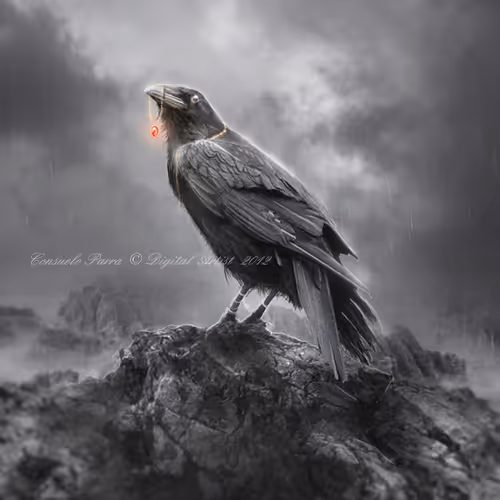 Item #9940690125582976174524544918400343280477728270389007373543071196981992882177 Media