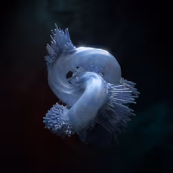 77898949108547955850781157610654916283937467032158407396598647680838286704641