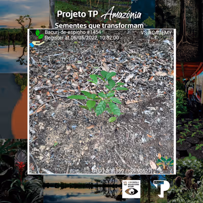 Item #8500196597889277390194123329501889087166328879864934763448349223938546466817 Media