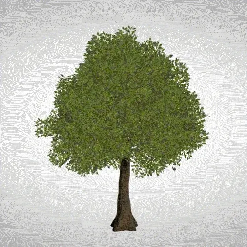 Item #62289075036265662832639417513905760098255183263830211914182799622857182675144 Media