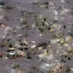 51505744279772251808310948570193708993242265706659681932624859502329018187777