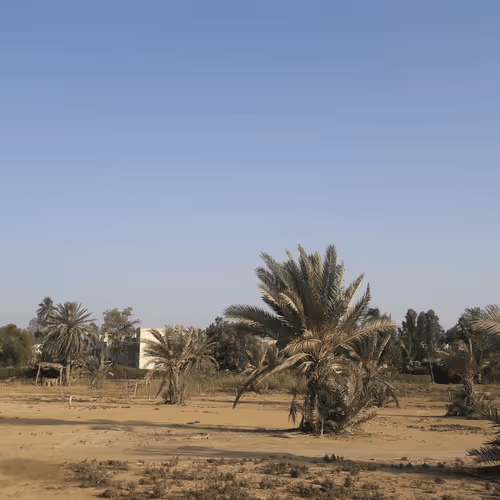 Item #54083471443602705426735722983204736811989978855828061879263932840551963951105 Media